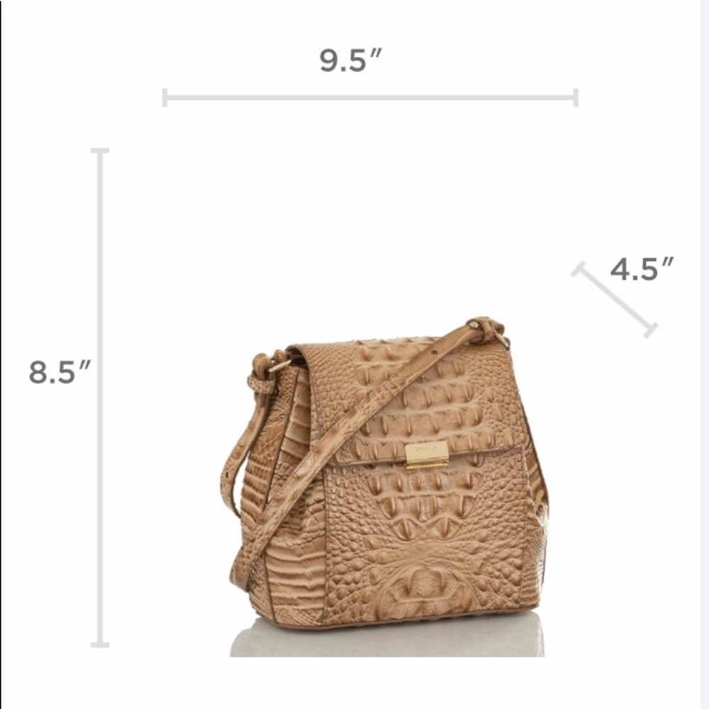 Brahmin - Picture 3 of 5